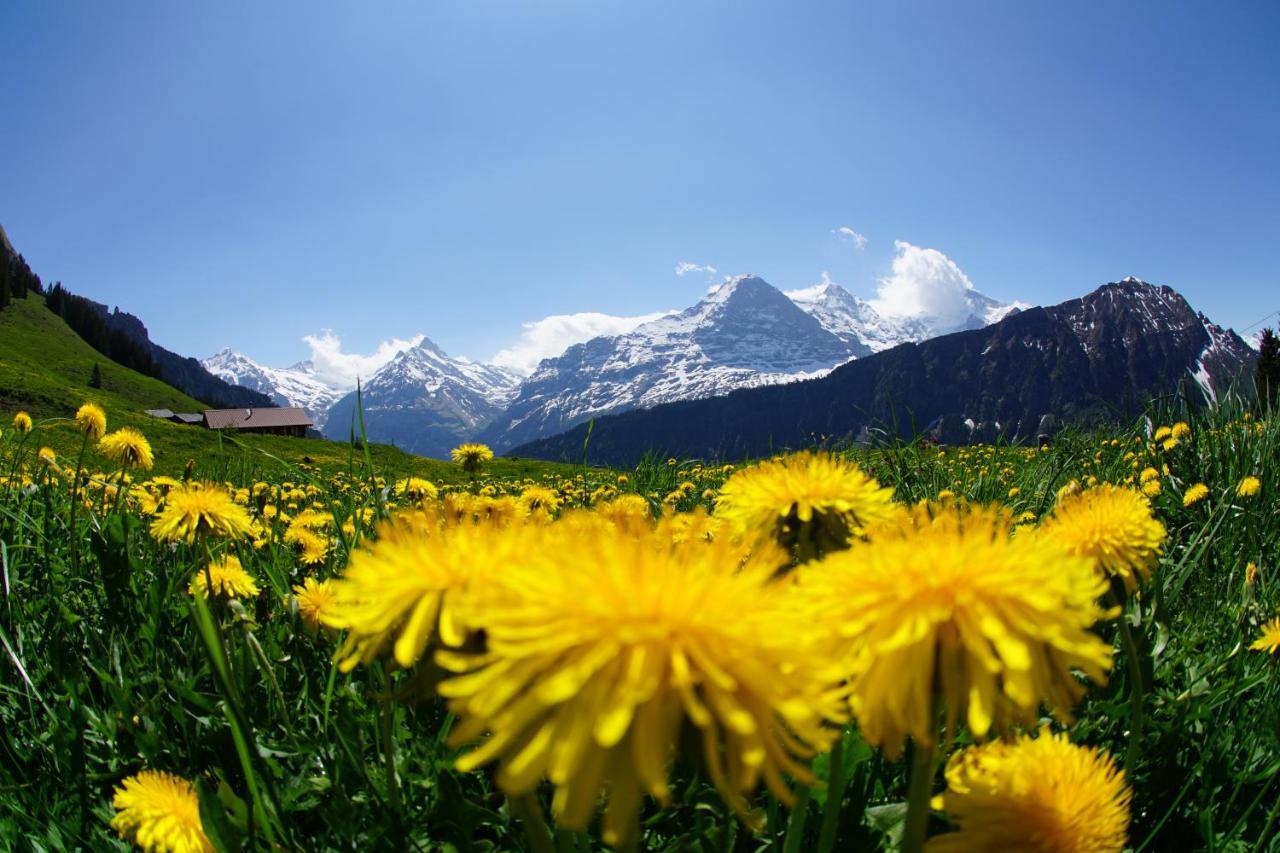 Chalet Wetterhorn Lutschental Exterior foto